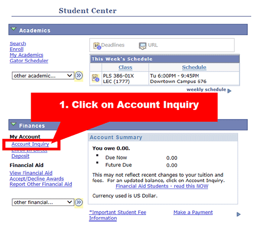 In the Student Center, under Finances, select "Account Inquiry"