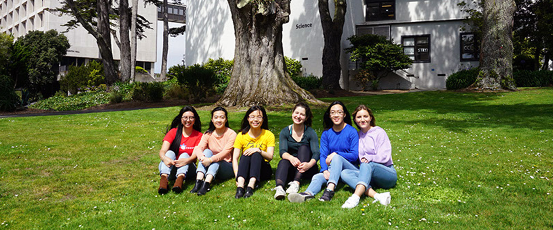 American Language Institute students at SF State sit under a tree on the grass