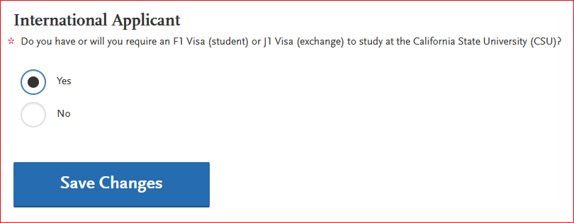 International Applicants, select yes to indicate you need or have a visa