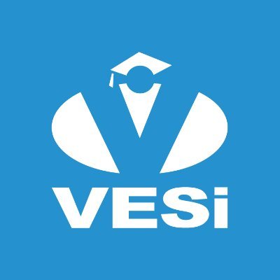 VESi logo