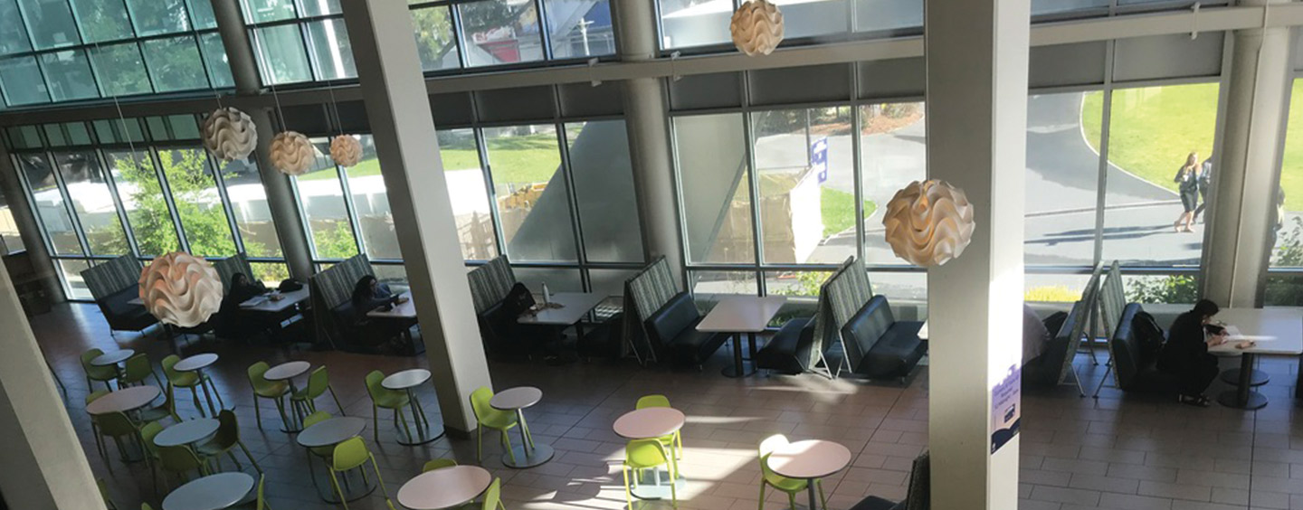 An aerial view of the library study area