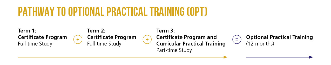 Optional Practical Training (12 months)  3 terms training plan