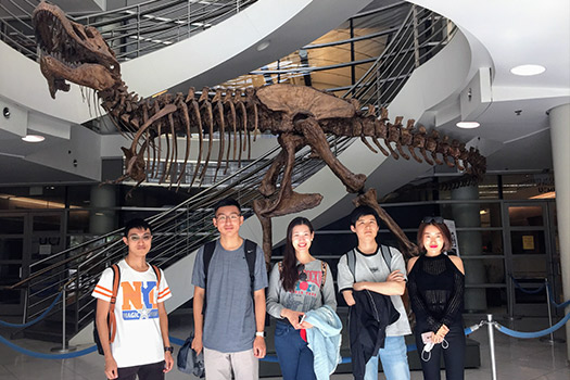 International students in front of a T-Rex skeleton in a museum