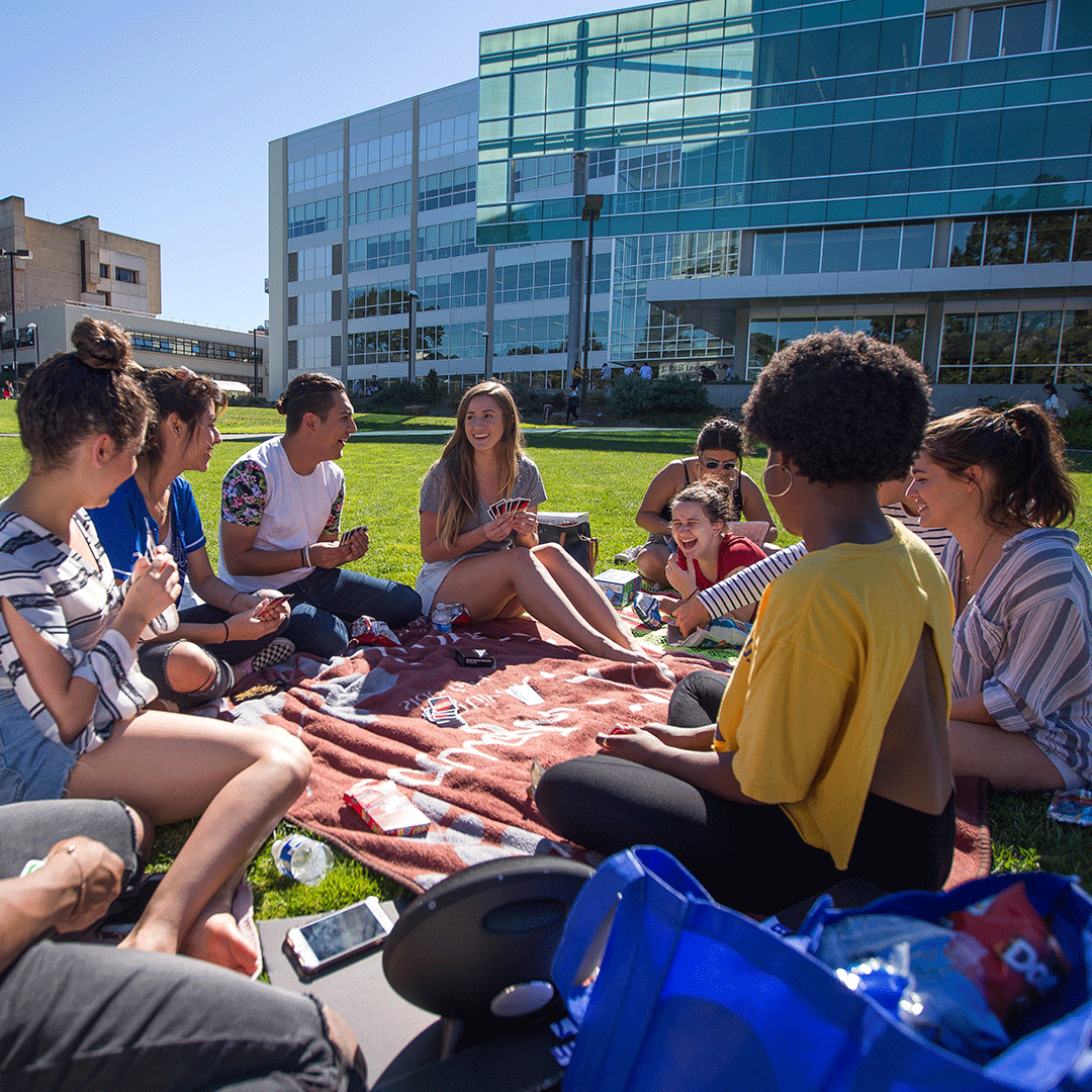 Students talk while sitting on the lawn