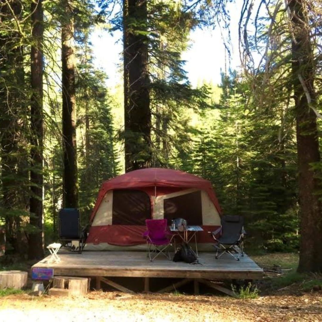 Tent on a platform at the Sierra Nevada Field Campus