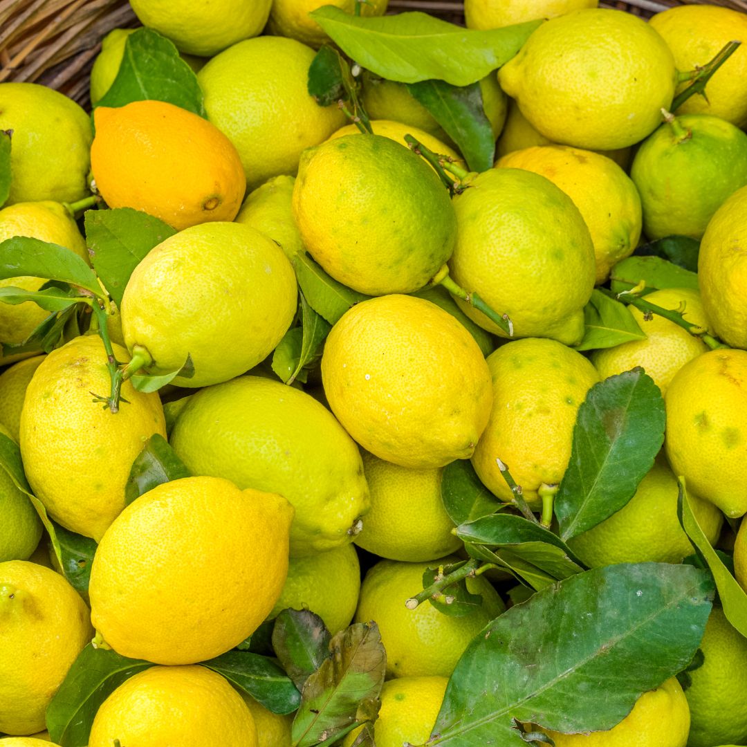 Lemons in Ischia, Italy