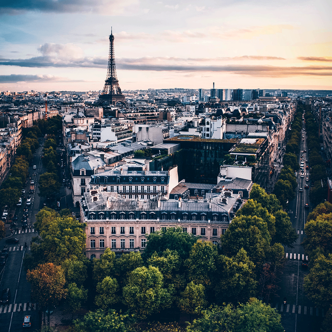 Aerial view of Paris and the Eiffel Tower