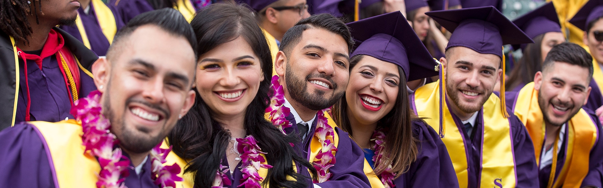 Online Degree Completion | San Francisco State University | College Of ...