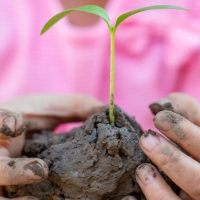 Child in pink shirt holds a globe of mud with a sprout coming out