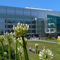 Library with flowers in the foreground