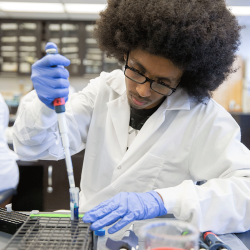 Scientist using pipette in the lab