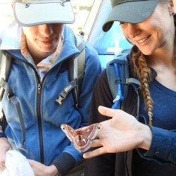 Students look at a butterfly in a student's hand