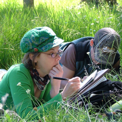 Students lie in the grass and study at the Sierra Nevada Field Campus