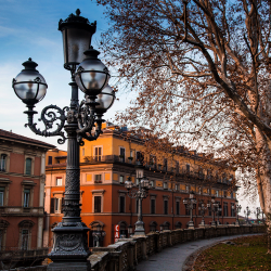 A lamp, tree, and buildings in Bologna, Italy