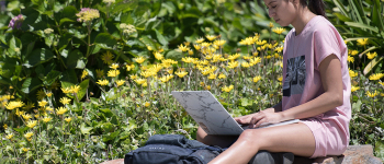 Student studying on computer on a rock, with yellow flowers